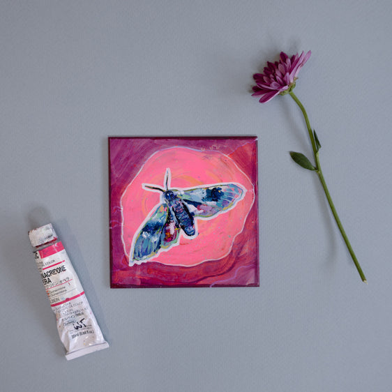 Day 9 | Moth