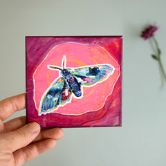 Day 9 | Moth