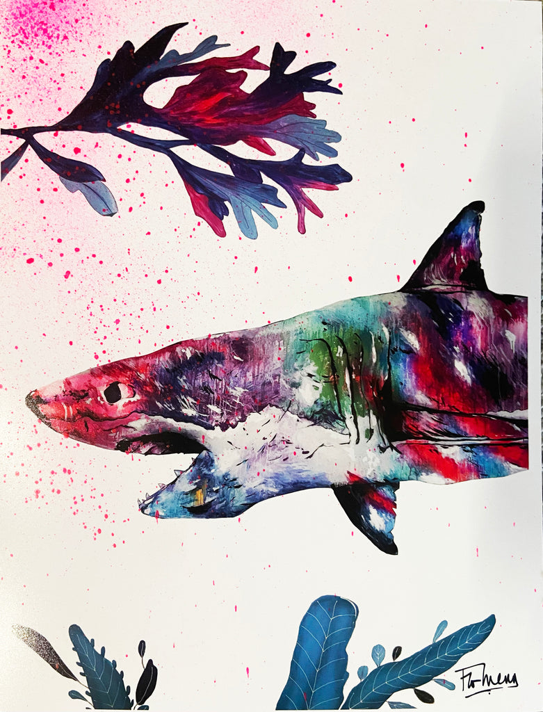 "Pedego Shark" Print